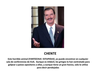 CHENTE Este horrible animal (FANTOCHUS  ESTUPIDUS) ,se puede encontrar en cualquier sala de conferencias de EUA.  Aunque es imbécil, los gringos lo han contratado para golpear a paises opositores a ellos, y aunque tiene un gran hocico, solo lo utiliza para decir pendejadas 