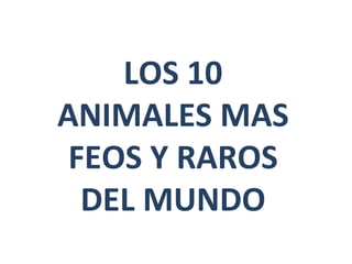 LOS 10 ANIMALES MAS FEOS Y RAROS DEL MUNDO 
