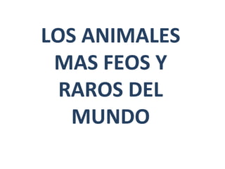 LOS ANIMALES MAS FEOS Y RAROS DEL MUNDO 