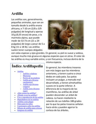 Elefante Ardilla Caballo Azul Ojos Zorro Cuentas Animales Elefante Ardilla Caballo Azul Ojos Zorro Cuentas Animales