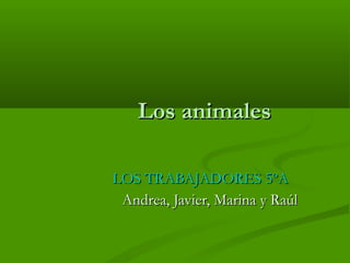 Los animales LOS TRABAJADORES 5ºA Andrea, Javier, Marina y Raúl 