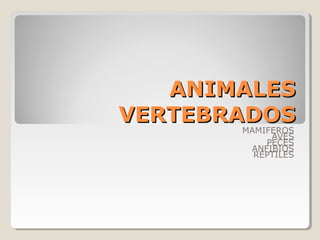 ANIMALESANIMALES
VERTEBRADOSVERTEBRADOS
MAMIFEROS
AVES
PECES
ANFIBIOS
REPTILES
 