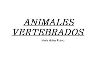ANIMALES VERTEBRADOS   María Muñoz Ruano 