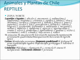 ZONA NORTE  Lagartijas y lagartos   L. alticolor,L. atacamensis, L. audituvelatus,L. aymararum,L. bisignatus,L. constanzae L. signífero,L. fabiáni L. silvai L. stolzmani,L. erroneus,L. copiapoensis L. darwini L. donosoi L. jamesi L. juanortizi,L. eleodori L. foxi L. gravenhorstii L. hellmichi L. isabelae L. islugensis L. josephorumL. lorenzmüller L. maldonadae L. mocquardi L. molinai L. multicolor L. multiformis L. nigriceps L. nigromaculatus L. ornatus L. velosoi L. pantherinus L. patriciaiturrae L. paulinae L. reichei L. rosenmanni L. rothi L. schmidti L. vallecurensis L. walkeri M. araucanus M. atacamensisM. heterolepisM. marianusM. maminensisM. peruvianusM. quadrivittatusM.tarapacensisM. theresioidesM. tigrisM. yanezi   Geckos   Hemidactylus peruvianus  Homonota gaudichaudi  H. dorbignyi H. penai Lepidodactylus lugubris Phyllodactylus gerrhopygus P. heterurus P. inaequalis Colubridae  Philodryas c. chamissonis P. c. eremicola P. simonsi P. tachymenoides   Tachymenis chilensis  T. peruviana Animales y Plantas de Chile REPTILES 