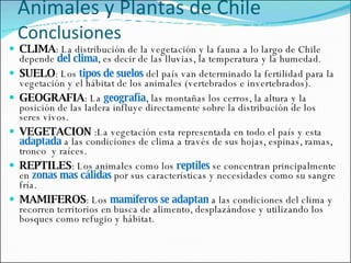 Animales y Plantas de Chile Conclusiones CLIMA : La distribución de la vegetación y la fauna a lo largo de Chile depende  del clima , es decir de las lluvias, la temperatura y la humedad . SUELO : Los  tipos de suelos  del país van determinado la fertilidad para la vegetación y el hábitat de los animales (vertebrados e invertebrados). GEOGRAFIA : La  geografía , las montañas los cerros, la altura y la posición de las ladera influye directamente sobre la distribución de los seres vivos. VEGETACION  :La vegetación esta representada en todo el país y esta  adaptada  a las condiciones de clima a través de sus hojas, espinas, ramas, tronco  y raíces. REPTILES : Los animales como los  reptiles   se concentran principalmente en  zonas   mas cálidas  por sus características y necesidades como su sangre fría. MAMIFEROS : Los  mamíferos se adaptan  a las condiciones del clima y recorren territorios en busca de alimento, desplazándose y utilizando los bosques como refugio y hábitat. 