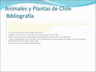 Animales y Plantas de Chile  Bibliografía www.wikipedia.org http://images.google.cl/imgres?imgurl=http://www.librodearena.com/myfiles/anyara/Alerce-de-3500-a%C3%B1os.jpg&imgrefurl=http://www.librodearena.com/anyara/post/2008/03/06/si-vas-chile-&h=408&w=608&sz=133&hl=es&start=32&usg=__5_hCC7PS4BcuUv6E4rCkm3zsIYE=&tbnid=nkyrryEA9PDhEM:&tbnh=91&tbnw=136&prev=/images%3Fq%3Dzona%2Bsur%2Bde%2Bchile%26start%3D18%26gbv%3D2%26ndsp%3D18%26hl%3Des%26client%3Dfirefox-a%26rls%3Dorg.mozilla:es-ES:official%26sa%3DN http://www.icarito.cl/medio/lamina/0,0,38035857_0_305479535,00.html http://www.gochile.cl/spa/Guide/ChileFloraFauna/Fauna.asp http://www.directemar.cl/spmaa/Estudiantes/Fuentes_cont_03.htm La vegetación Natural de Chile, Rodolfo Gajardo 1993 Mamíferos de Chile, Jorge Yáñez Valenzuela y Andrés Muñoz Pedreros, 2000 Mella Ávila Jorge. Guía de campo Reptiles de Chile.2005 Universidad de Chile, SAG, MINAGRI Vidal, M. 2004. Reptiles terrestres de Chile. Guías de Identificación y Biodiversidad Fauna Chilena. Apuntes de Zoología, Universidad Arturo Prat, Iquique, Chile. 15 pp.  http://www.geocities.com/faunadechile/fauna.html 