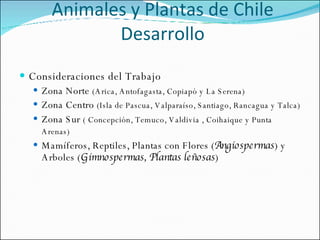 Animales y Plantas de Chile Desarrollo Consideraciones del Trabajo Zona Norte  (Arica, Antofagasta, Copiapó y La Serena) Zona Centro  (Isla de Pascua, Valparaíso, Santiago, Rancagua y Talca) Zona Sur  ( Concepción, Temuco, Valdivia , Coihaique y Punta Arenas)   Mamíferos, Reptiles, Plantas con Flores ( Angiospermas ) y Arboles ( Gimnospermas, Plantas leñosas ) 