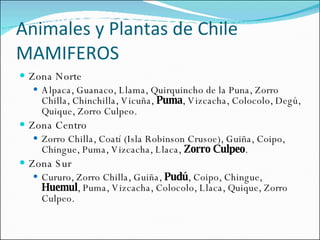 Animales y Plantas de Chile MAMIFEROS Zona Norte Alpaca, Guanaco, Llama, Quirquincho de la Puna, Zorro Chilla, Chinchilla, Vicuña,  Puma , Vizcacha, Colocolo, Degú, Quique, Zorro Culpeo. Zona Centro Zorro Chilla, Coatí (Isla Robinson Crusoe), Guiña, Coipo, Chingue, Puma, Vizcacha, Llaca,  Zorro Culpeo . Zona Sur Cururo, Zorro Chilla, Guiña,  Pudú , Coipo, Chingue,  Huemul , Puma, Vizcacha, Colocolo, Llaca, Quique, Zorro Culpeo. 