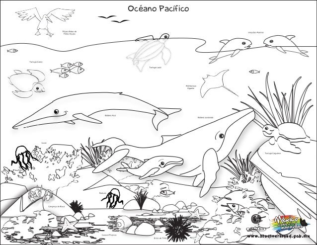 Animales y-su-habitat-para-colorear (1)