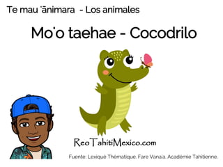 Mo'o taehae - Cocodrilo
ReoTahitiMexico.com
Te mau 'ānimara - Los animales
Fuente: Lexiqué Thématique. Fare Vana'a. Académie Tahitienne.
 