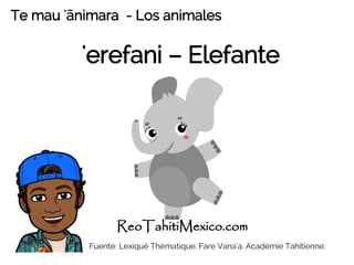 'erefani – Elefante
Te mau 'ānimara - Los animales
Fuente: Lexiqué Thématique. Fare Vana'a. Académie Tahitienne.
ReoTahitiMexico.com
 