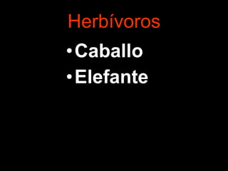 Herbívoros Caballo Elefante 