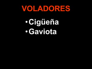 VOLADORES Cigüeña Gaviota 
