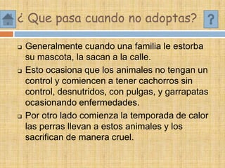 ¿ Que pasa cuando no adoptas?
 Generalmente cuando una familia le estorba
su mascota, la sacan a la calle.
 Esto ocasiona que los animales no tengan un
control y comiencen a tener cachorros sin
control, desnutridos, con pulgas, y garrapatas
ocasionando enfermedades.
 Por otro lado comienza la temporada de calor
las perras llevan a estos animales y los
sacrifican de manera cruel.
 