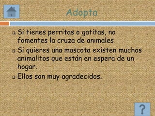 Adopta
 Si tienes perritas o gatitas, no
fomentes la cruza de animales
 Si quieres una mascota existen muchos
animalitos que están en espera de un
hogar.
 Ellos son muy agradecidos.
 