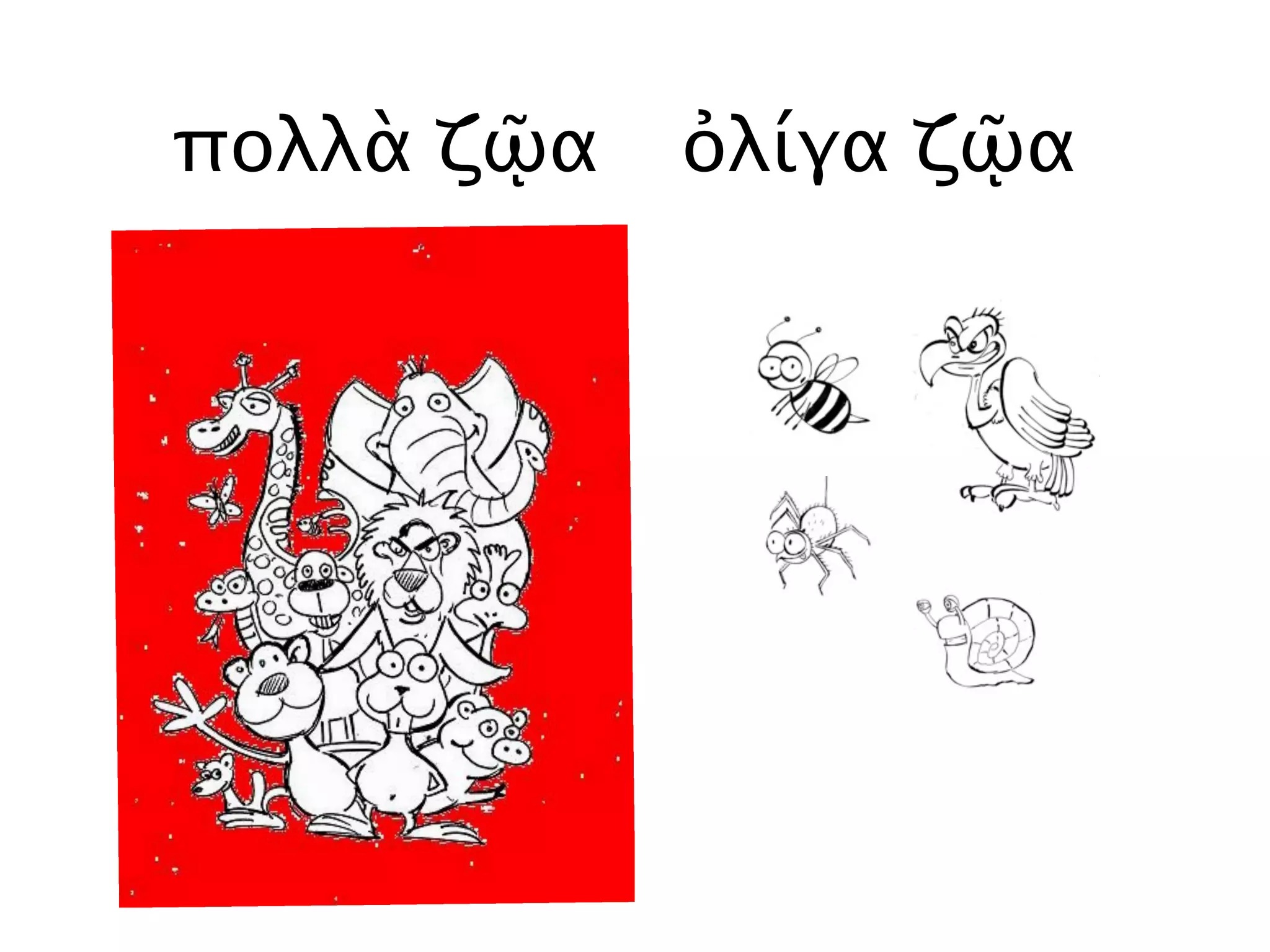 ὀλίγα ζῷα
πολλὰ ζῷα
 