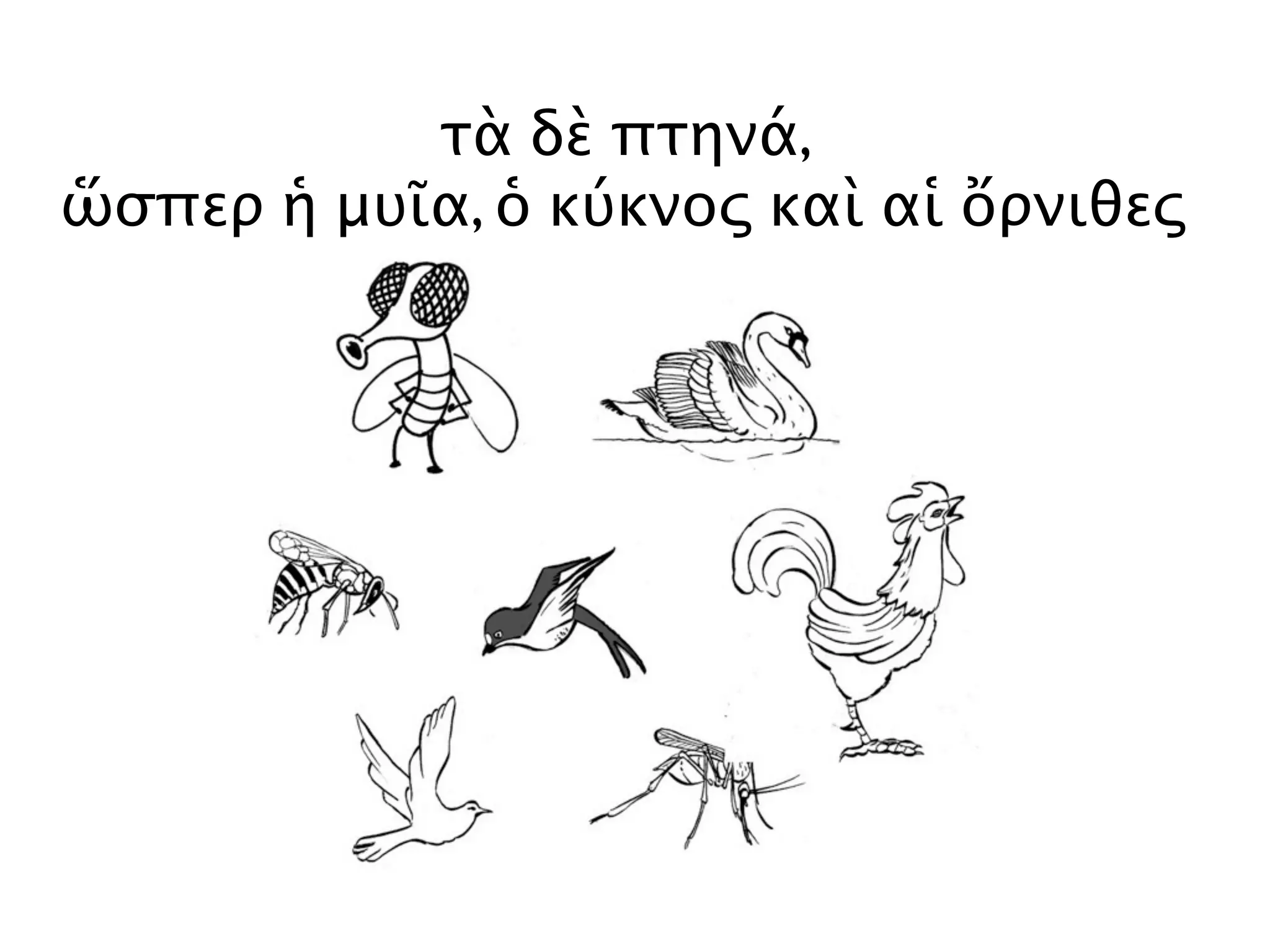 τὰ δὲ πτηνά,
ὥσπερ ἡ μυῖα, ὁ κύκνος καὶ αἱ ὄρνιθες
 