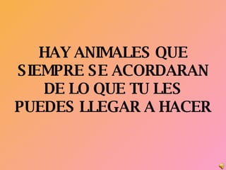 HAY ANIMALES QUE SIEMPRE SE ACORDARAN DE LO QUE TU LES PUEDES LLEGAR A HACER 