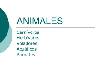 ANIMALES Carnívoros Herbívoros   Voladores Acuáticos Primates 
