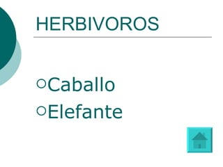 HERBIVOROS Caballo Elefante 