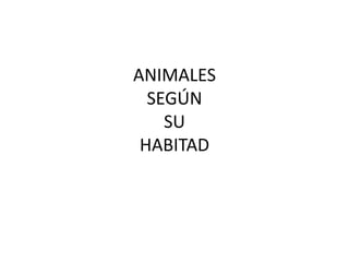 ANIMALES
SEGÚN
SU
HABITAD
 