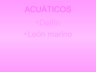 ACUÁTICOS Delfín León marino