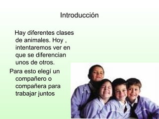 Introducción Hay diferentes clases de animales. Hoy , intentaremos ver en que se diferencian unos de otros. Para esto elegí un compañero o compañera para trabajar juntos