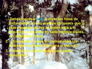 Preguntas 1 .- Debes ingresar aquí y mirar las fotos de cada animal con su nombre (recuerda que la lista completa de los animales está a la izquierda, y tocando en cada nombre podés ver diferentes fotos) 2.- ¿Encuentran cosas en común entre los diferentes animales? Nombra al menos 3. 3.- Inventá una clasificación para poder agruparlos.