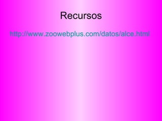 Recursos http://www.zoowebplus.com/datos/alce.html