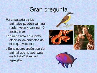 Gran pregunta Para trasladarse los animales pueden caminar, nadar, volar y caminar ó arrastrarse. Teniendo esto en cuenta, clasificá los animales del sitio que visitaste. ¿Se te ocurre algún tipo de animal que no aparezca en la lista? Si es así agregálo