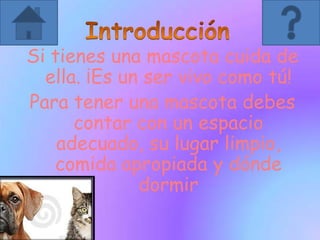 Si tienes una mascota cuida de
ella. ¡Es un ser vivo como tú!
Para tener una mascota debes
contar con un espacio
adecuado, su lugar limpio,
comida apropiada y dónde
dormir
 