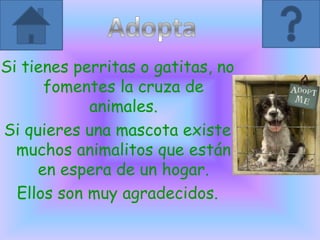 Si tienes perritas o gatitas, no
fomentes la cruza de
animales.
Si quieres una mascota existe
muchos animalitos que están
en espera de un hogar.
Ellos son muy agradecidos.
 