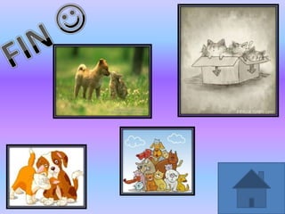 Adopción de Mascotas