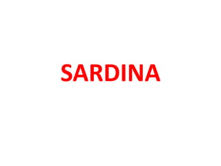 SARDINA
 