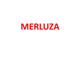 MERLUZA
 