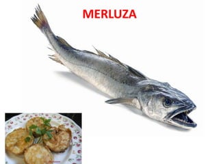 MERLUZA
 