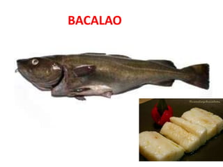 BACALAO
 