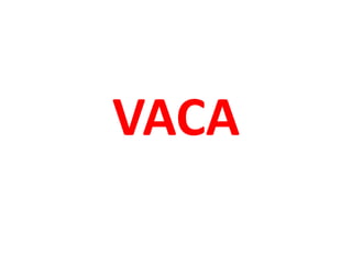 VACA
 