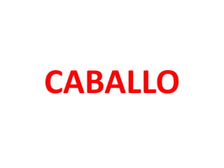 CABALLO
 
