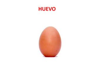 HUEVO
 