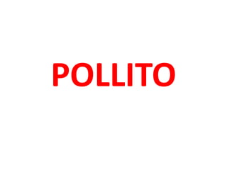 POLLITO
 