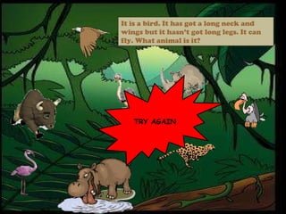 TRY AGAIN It is a bird. It has got a long neck and wings but it hasn’t got long legs. It can fly. What animal is it? 