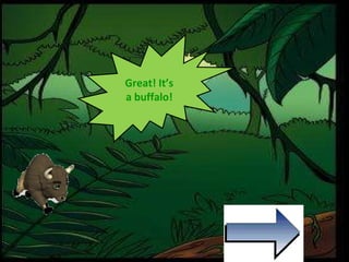Great! It’s a buffalo! 