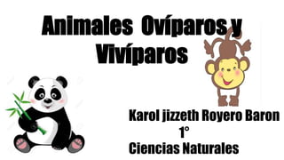 Animales Ovíparos y
Vivíparos
Karol jizzeth Royero Baron
1°
Ciencias Naturales
 