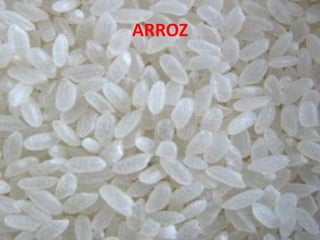 ARROZ
 
