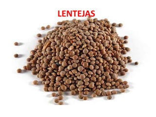 LENTEJAS
 
