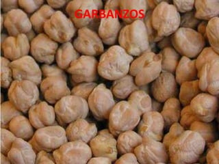GARBANZOS
 