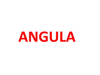 ANGULA
 