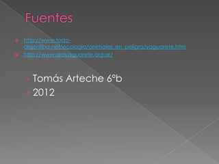  http://www.todo-
  argentina.net/ecologia/animales_en_peligro/yaguarete.htm
 http://www.redyaguarete.org.ar/




    › Tomás Arteche 6ºb
    › 2012
 