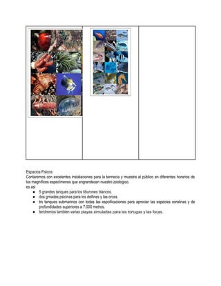 Espacios Fisicos
Contaremos con excelentes instalaciones para la tennecia y muestra al público en diferentes horarios de
los magníficos especímenes que engrandecen nuestro zoologico.
es asi
    ● 5 grandes tanques para los tiburones blancos.
    ● dos grnades psicinas para los delfines y las orcas.
    ● trs tanques submarinos con todas las espcificaciones para apreciar las especies coralinas y de
       profundidades superiores a 7.000 metros.
    ● tendremos tambien varias playas simuladas para las tortugas y las focas.
 